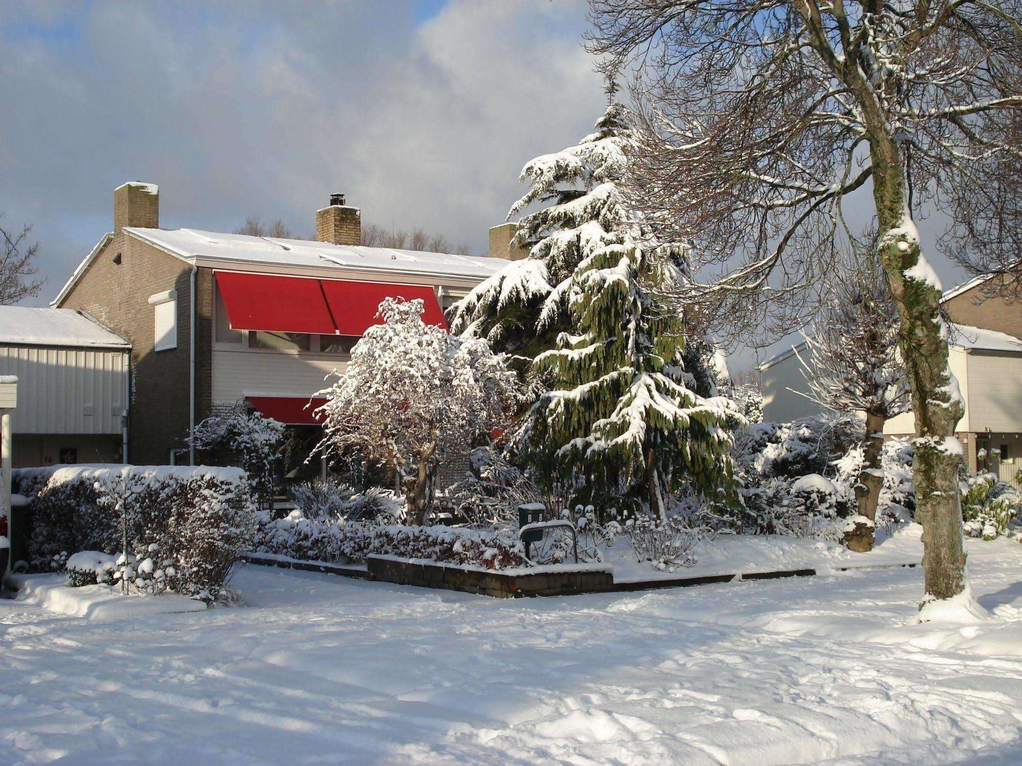 Bed And Breakfast Oosterpark Harlingen Dış mekan fotoğraf